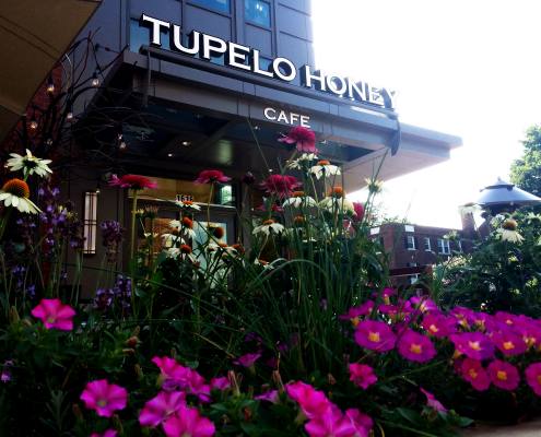 building sign at tupelo honey cafe